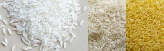 Rice  Paraboiled, Basmati, Non basmati Rice